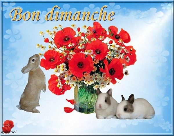 vive le printemps !!!