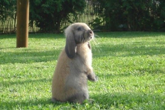 cadeau de Brigitte48